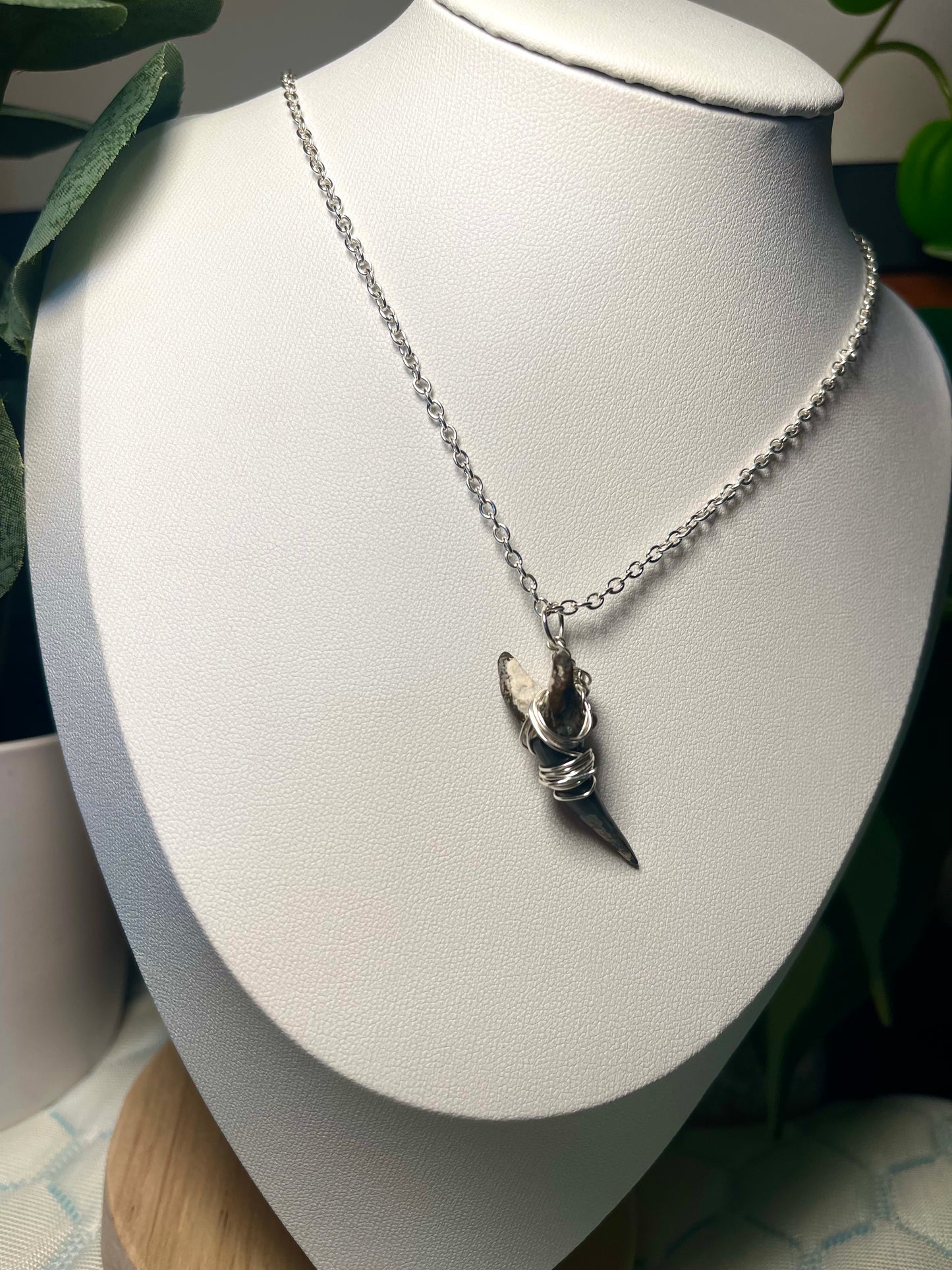 One of a kind Shark-tooth Silver Necklace