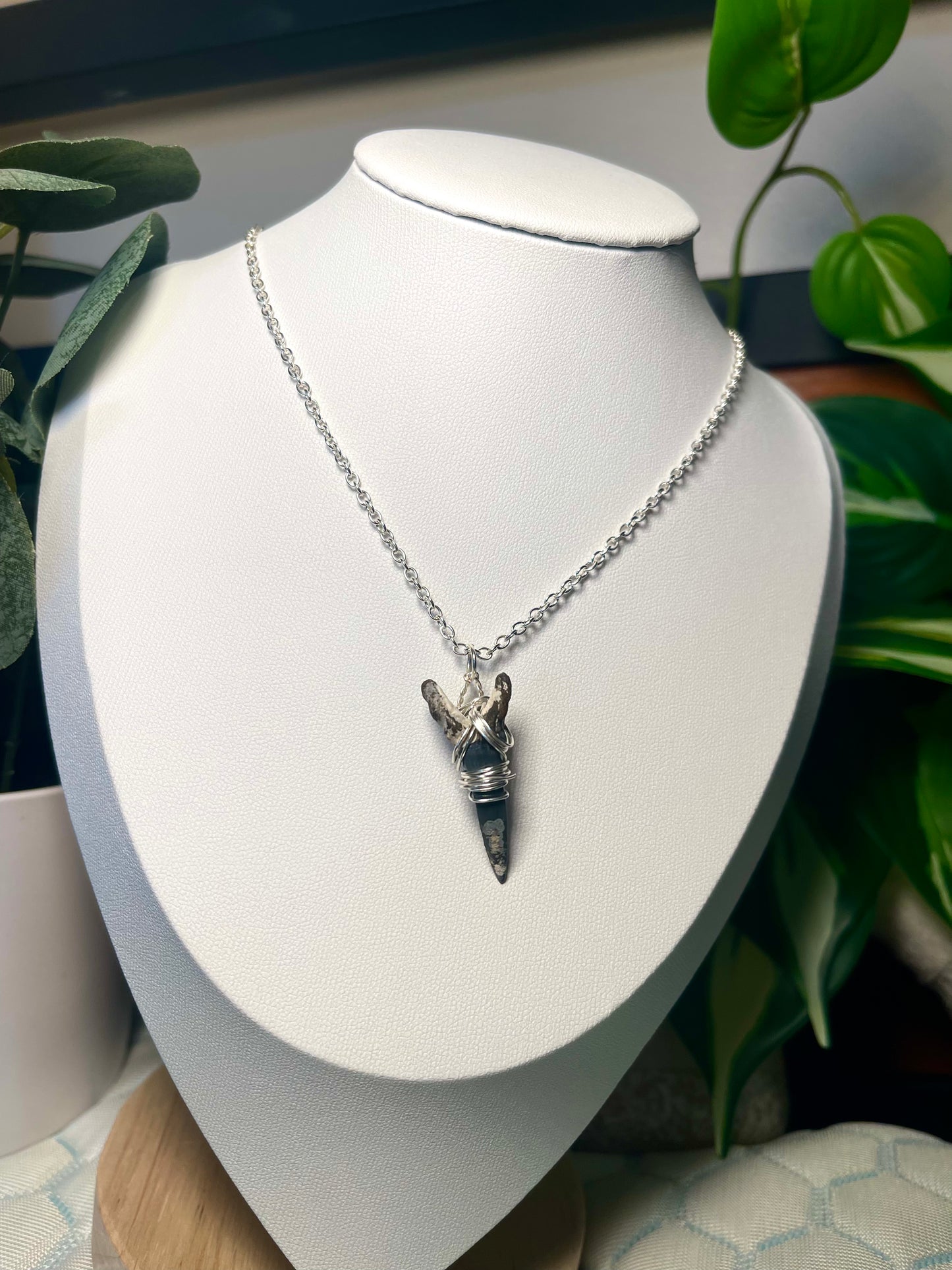 One of a kind Shark-tooth Silver Necklace