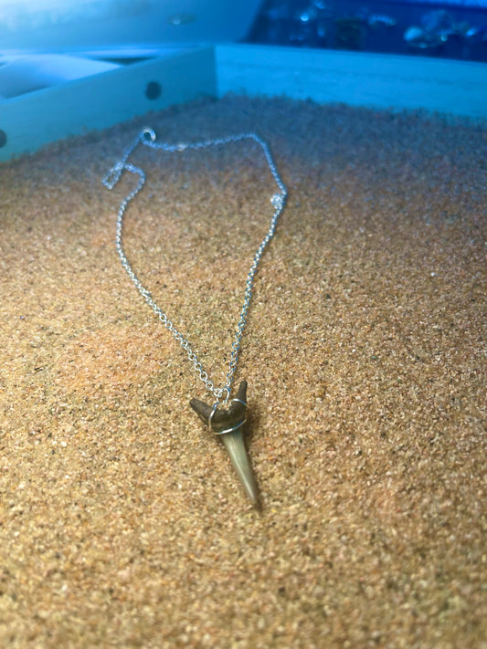 Silver Shark tooth necklace