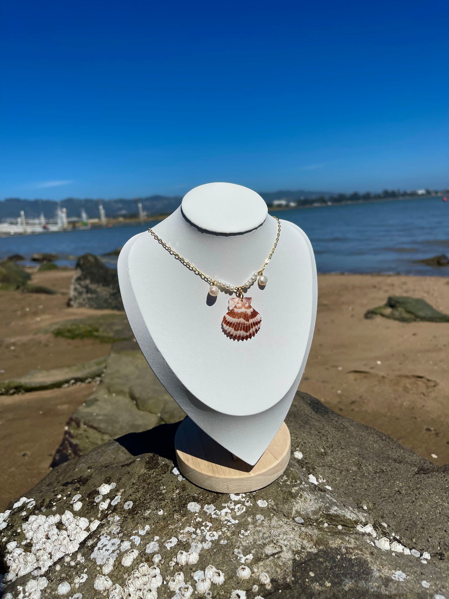 Stripped scallop seashell and pearl necklace