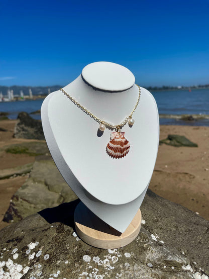 Stripped scallop seashell and pearl necklace