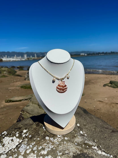 Stripped scallop seashell and pearl necklace