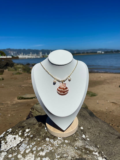 Stripped scallop seashell and pearl necklace