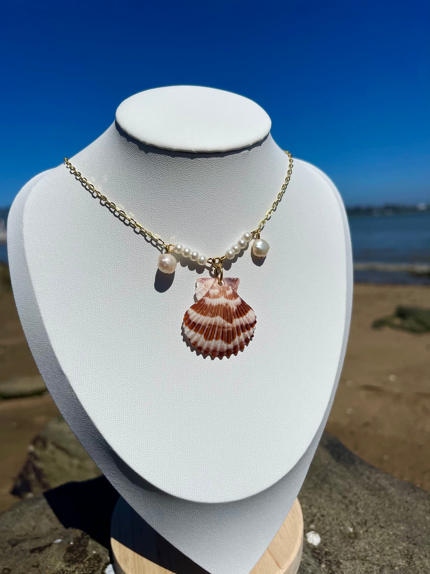 Stripped scallop seashell and pearl necklace