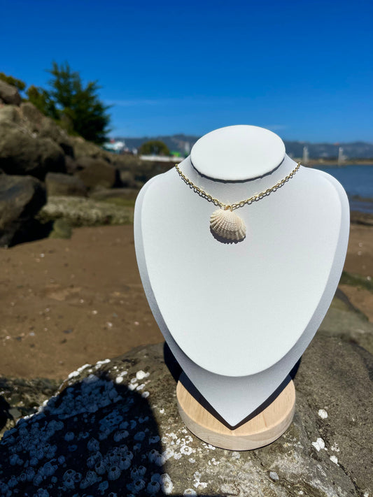 White Cardita seashell necklace