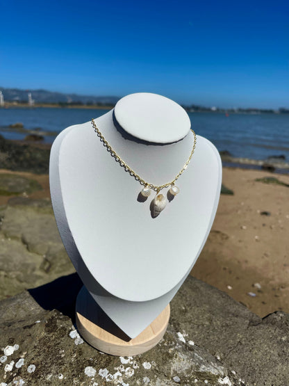 White seashell and pearl necklace