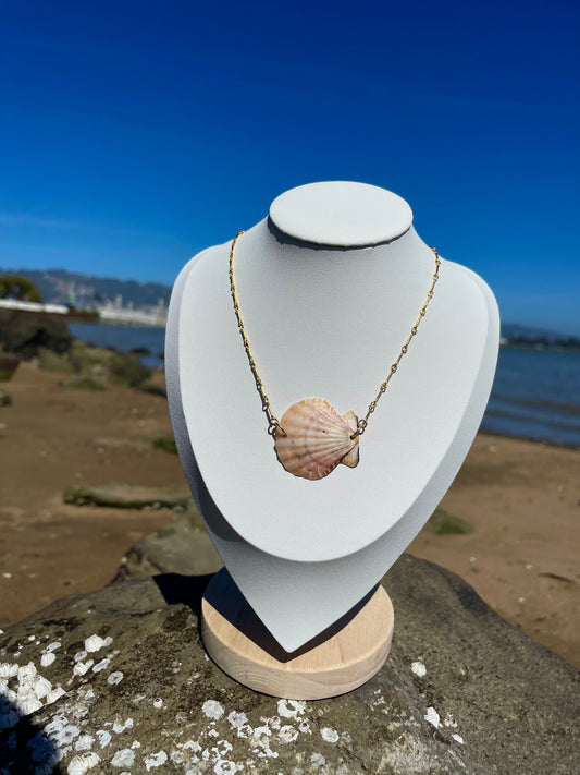 Scallop seashell necklace