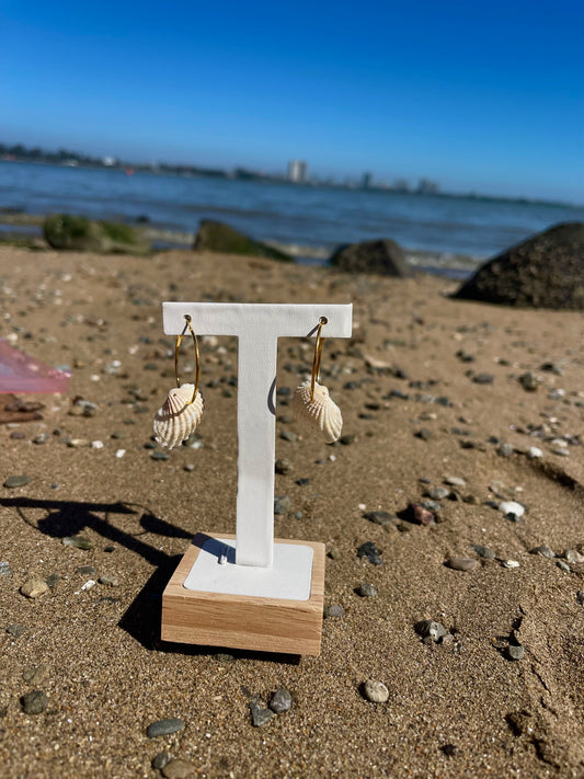 White venus seashell gold hoop earrings