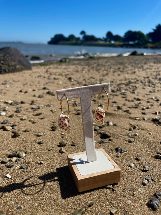 Spotted tulip seashell gold hoop earrings