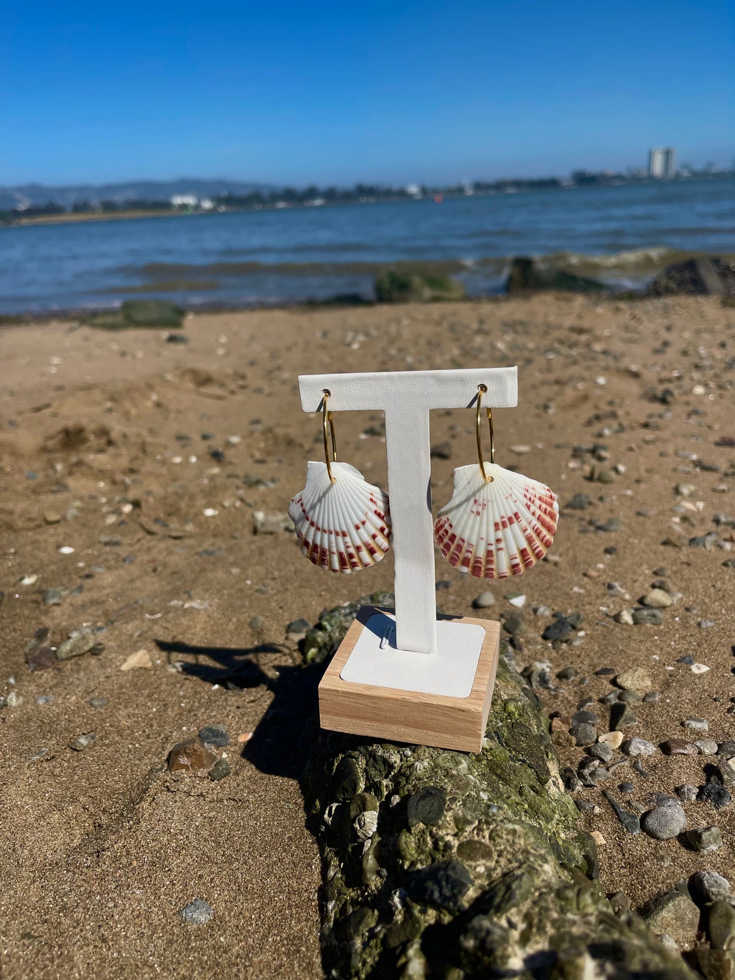 Scallop seashell gold hoop earrings