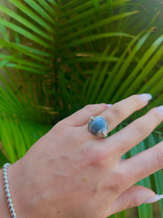 Grey seashell ring