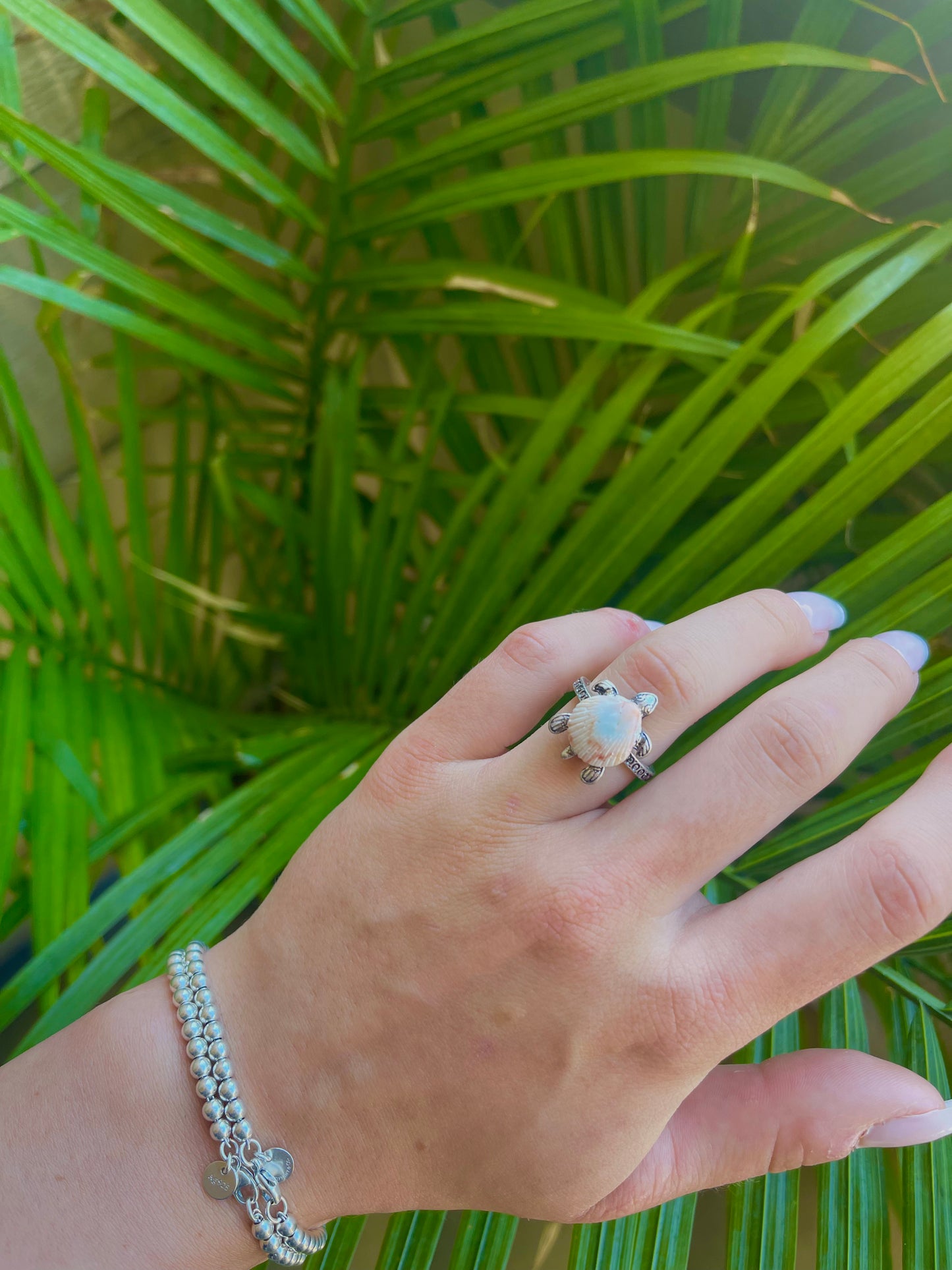 Silver turtle seashell ring