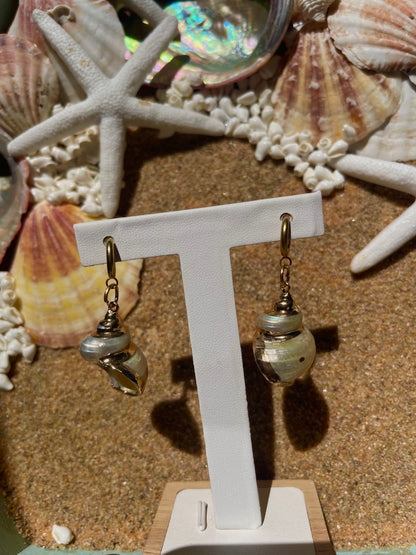 Gold and pearl seashell earrings