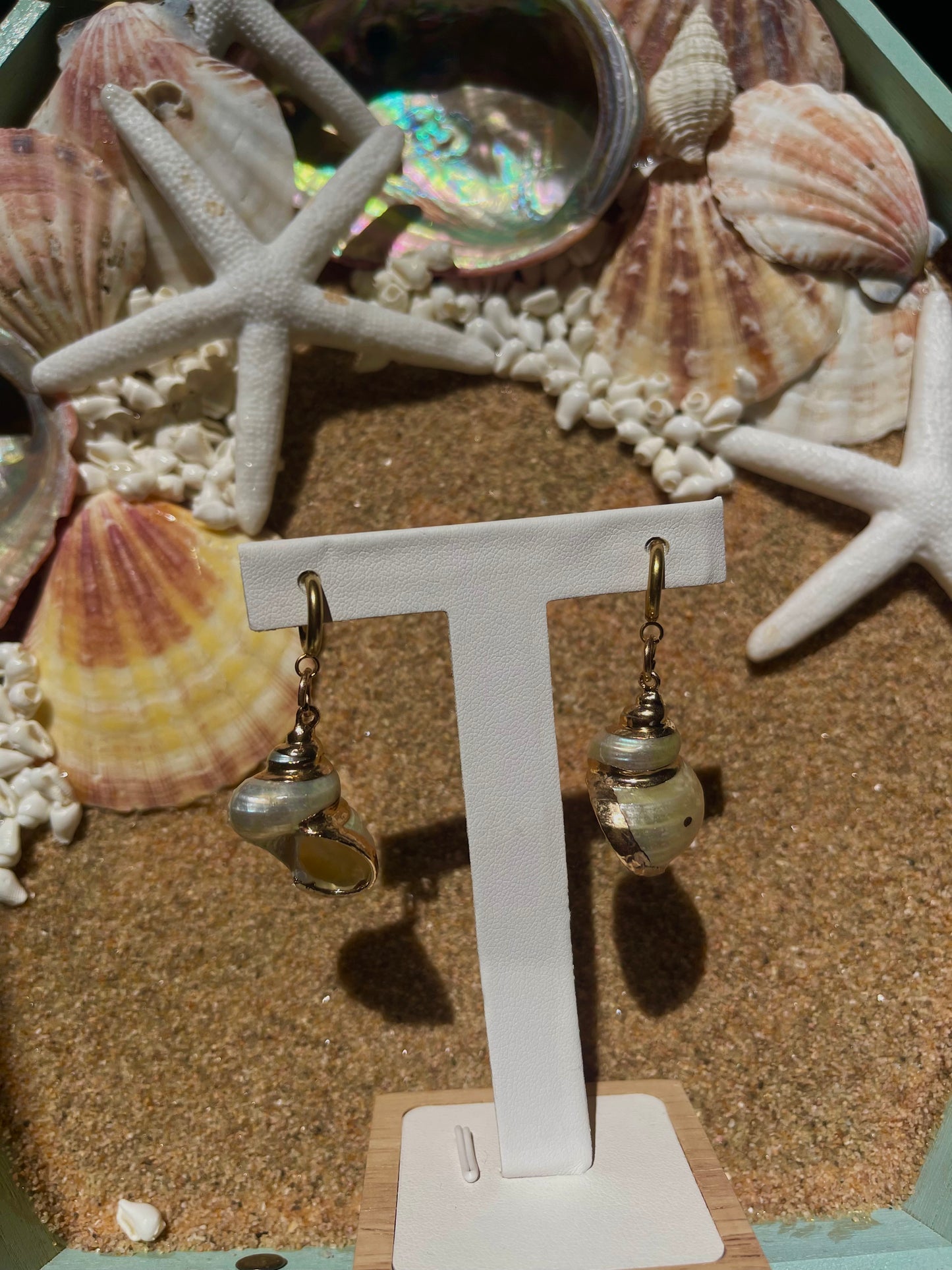 Gold and pearl seashell earrings