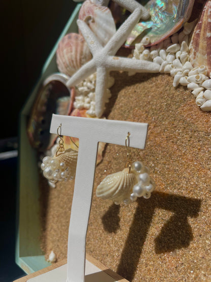 Gold seashell and pearl earrings