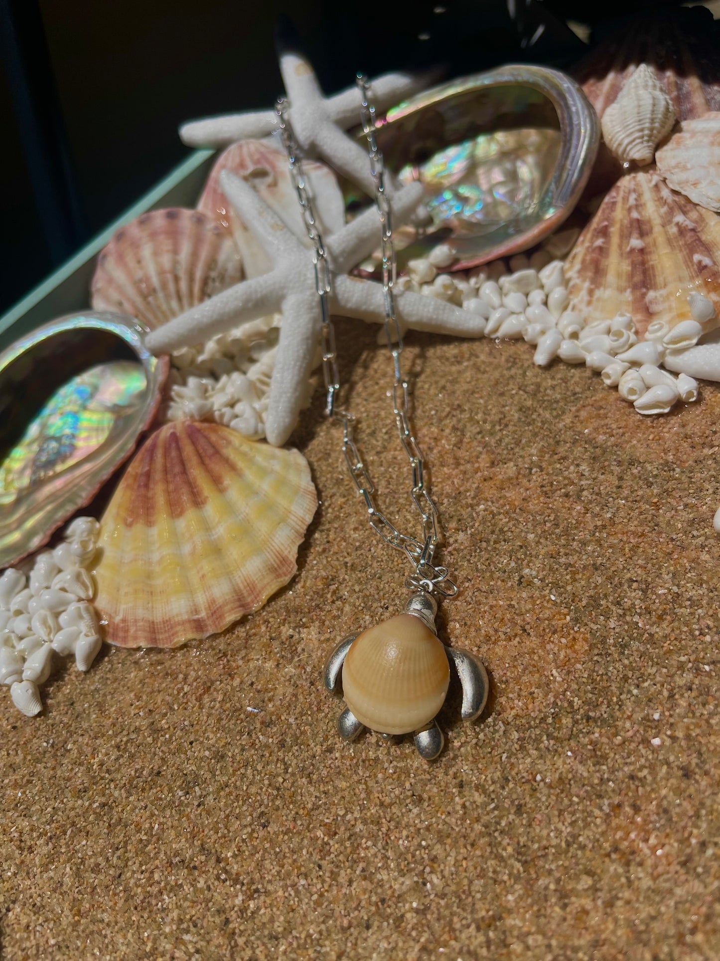 Silver turtle seashell necklace