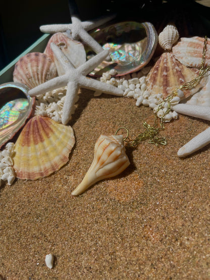 Large spiral conch shell gold necklace