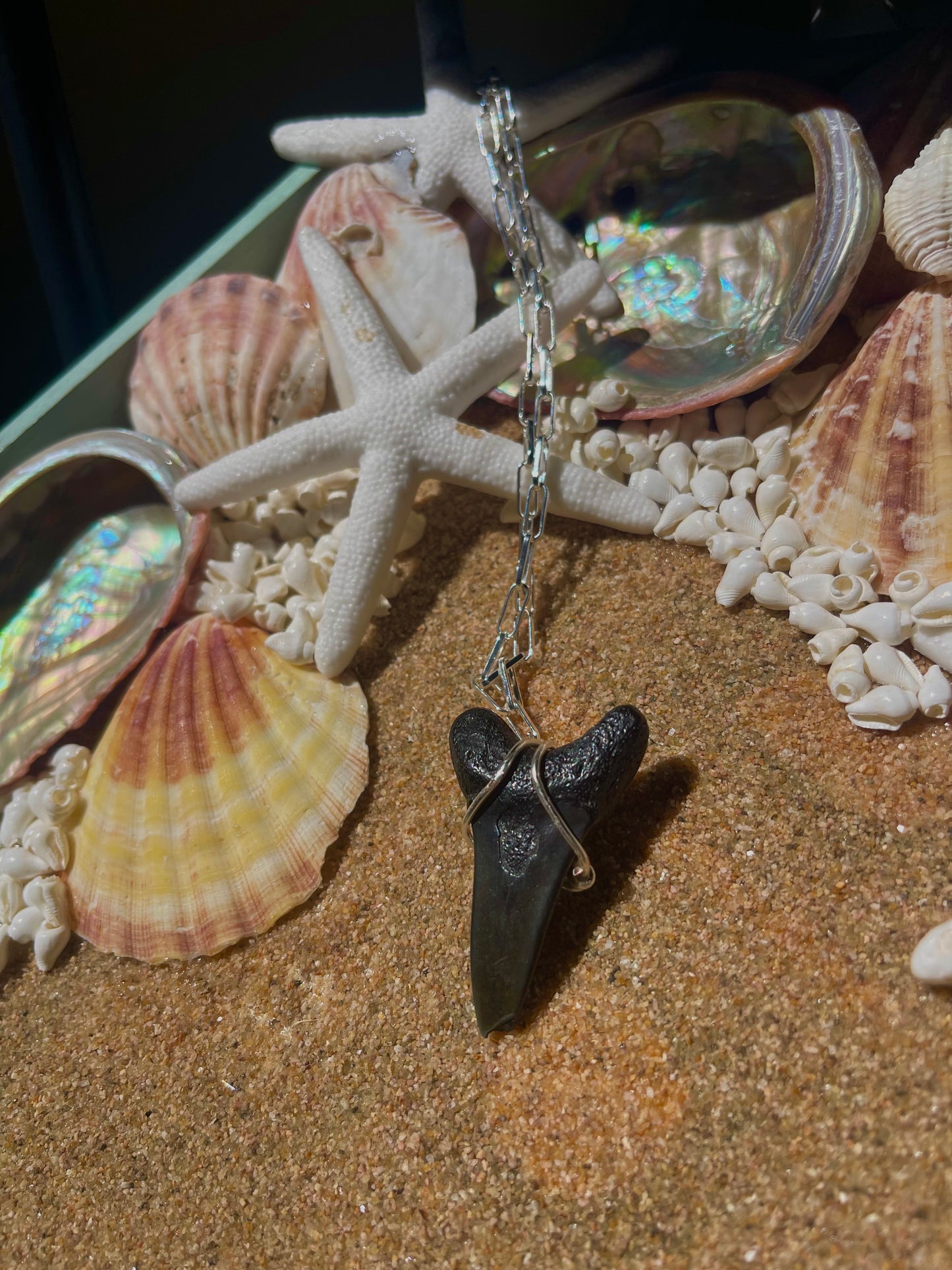 Large Shark tooth silver necklace