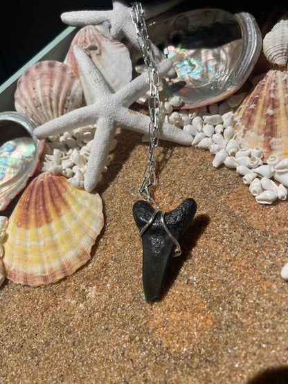 Large Shark tooth silver necklace