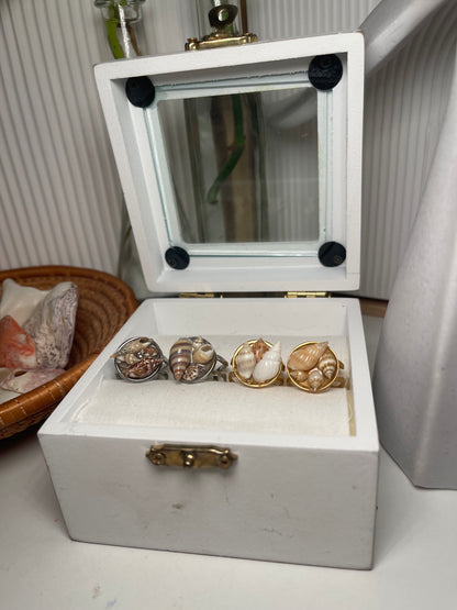 Gold Or Silver Circular Resin Seashell Ring