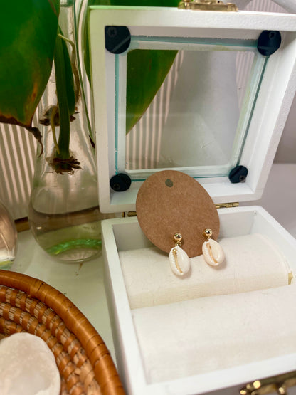 Silver Stud Cowry Seashell Earrings