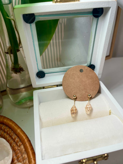 Gold Stud Seashell Earrings