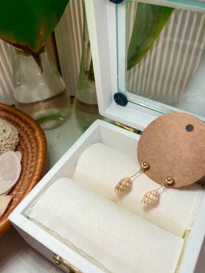 Gold Stud Seashell Earrings