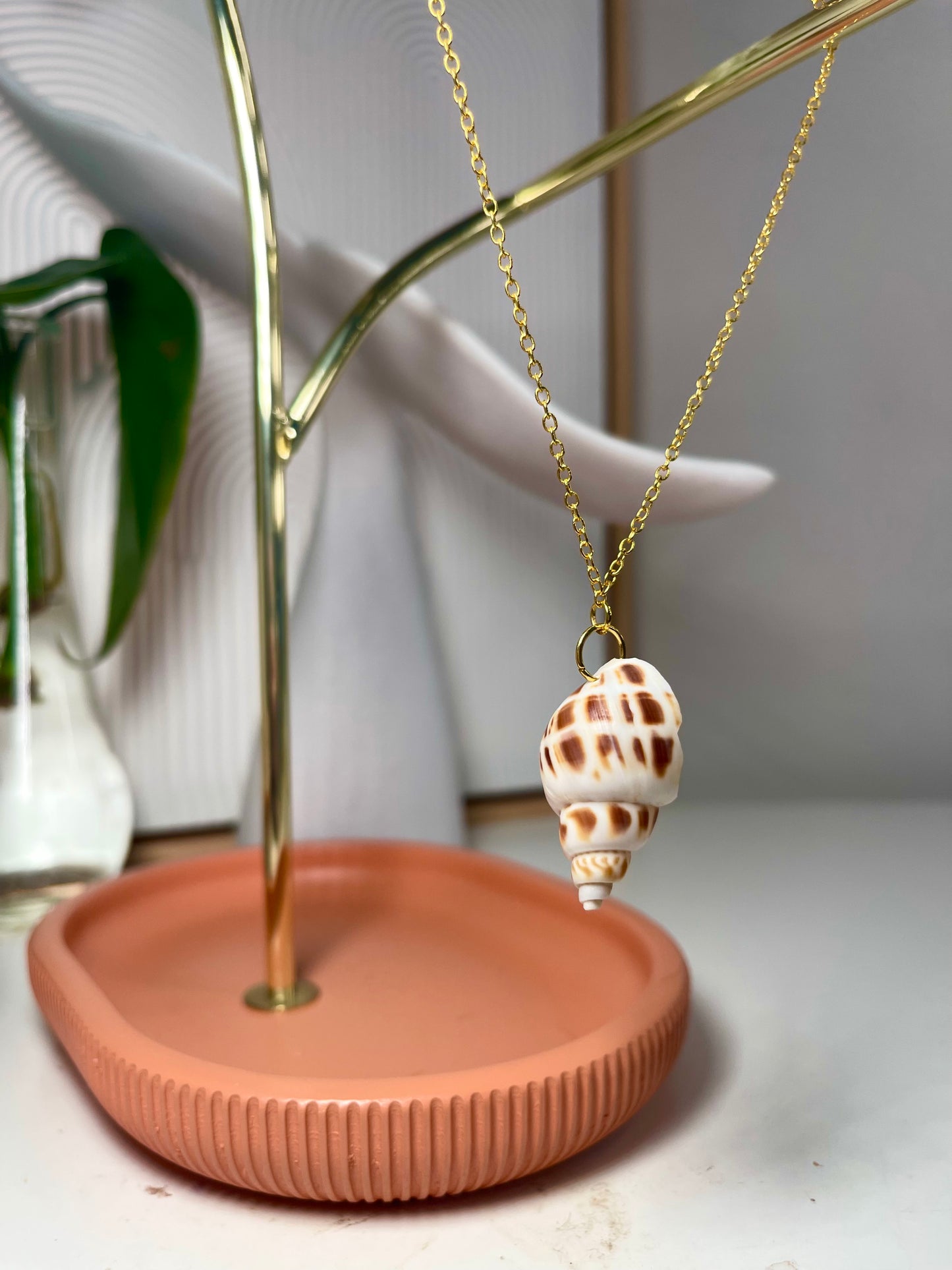 Junonia Seashell Gold Necklace