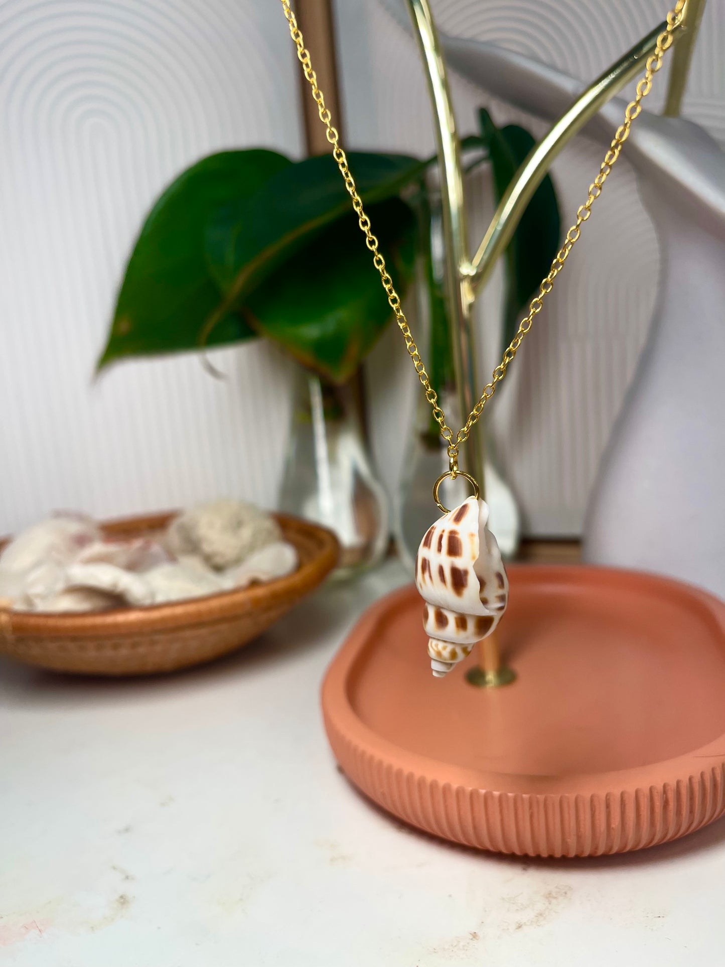 Junonia Seashell Gold Necklace