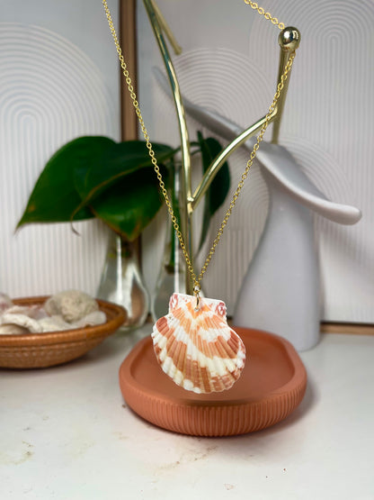 Burnt Orange and White Lions Paw Seashell Gold Necklace