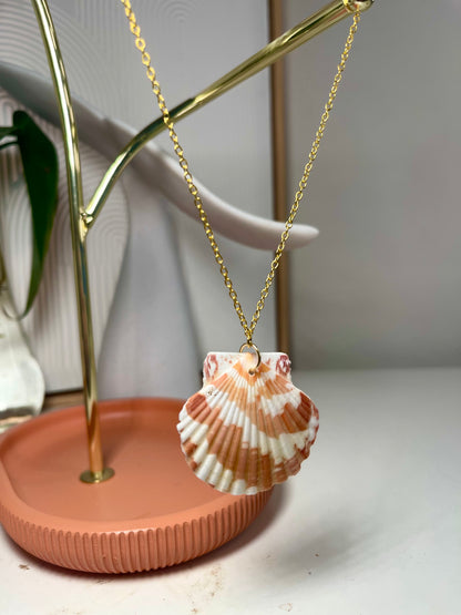 Burnt Orange and White Lions Paw Seashell Gold Necklace